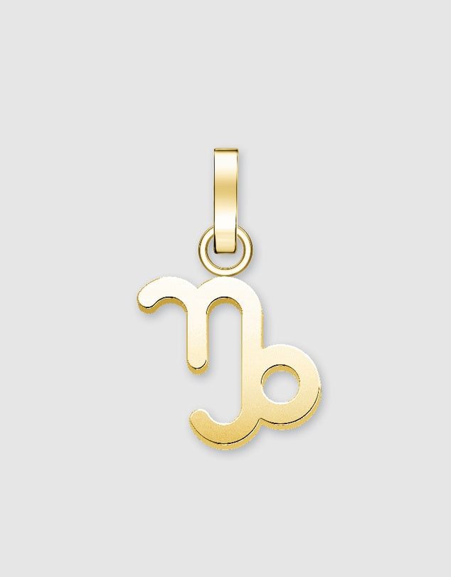 Zodiac Charms - Gold