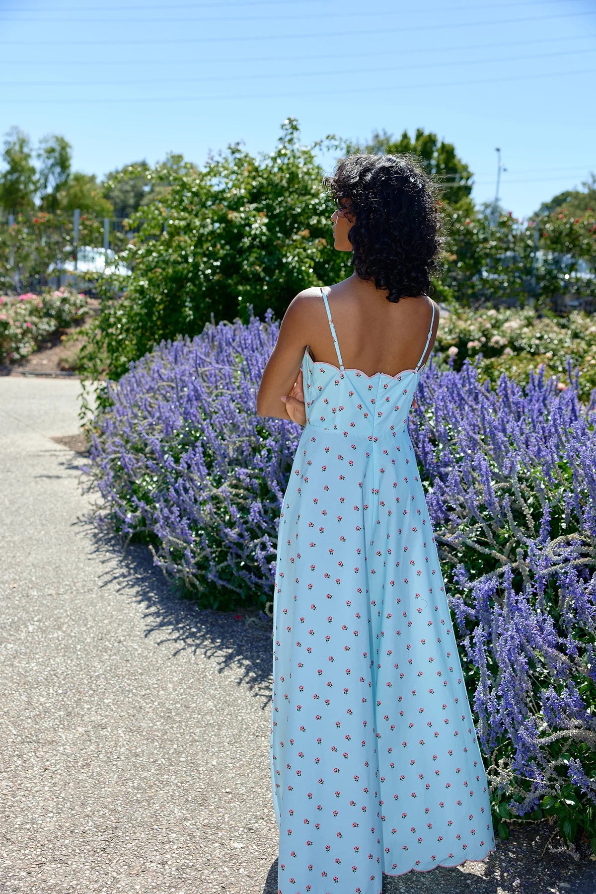 Elena Dress - Artic Rose