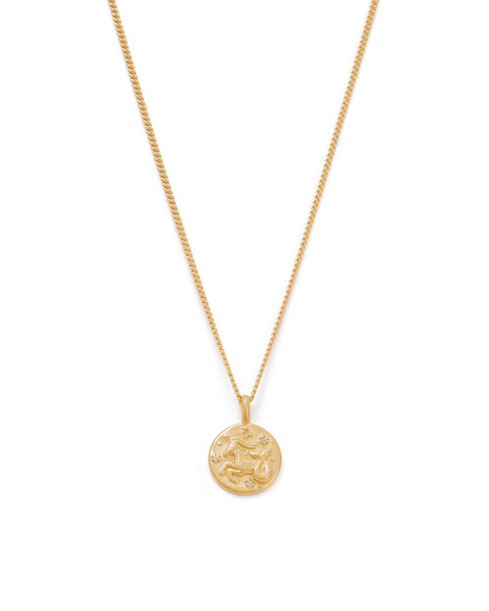 Capricorn Petite Zodiac Necklace - Gold