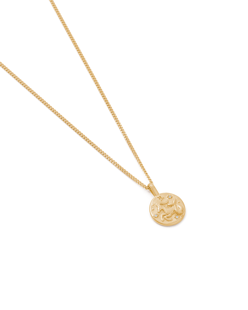 Capricorn Petite Zodiac Necklace - Gold