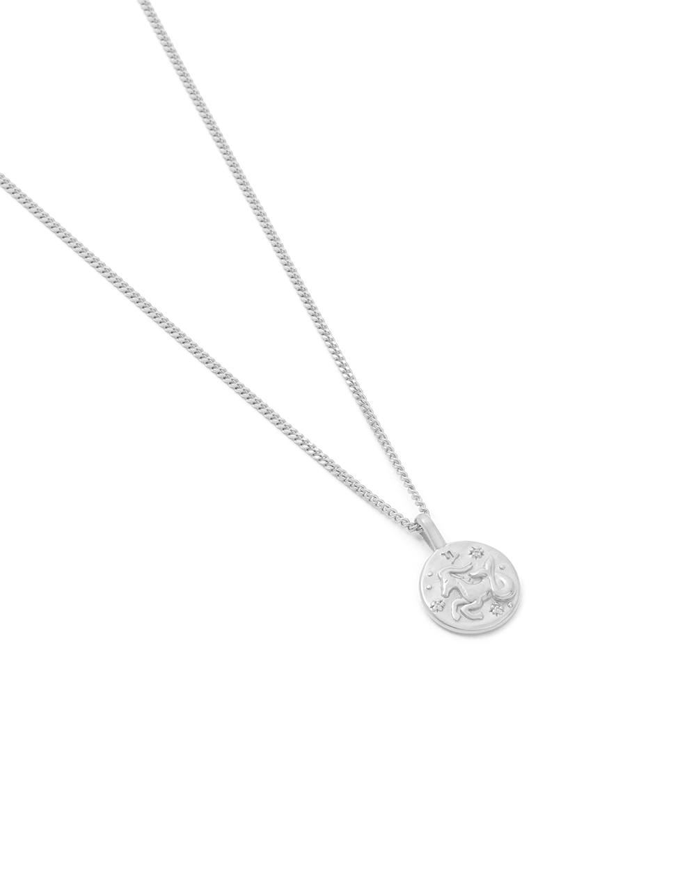 Capricorn Petite Zodiac Necklace - Silver