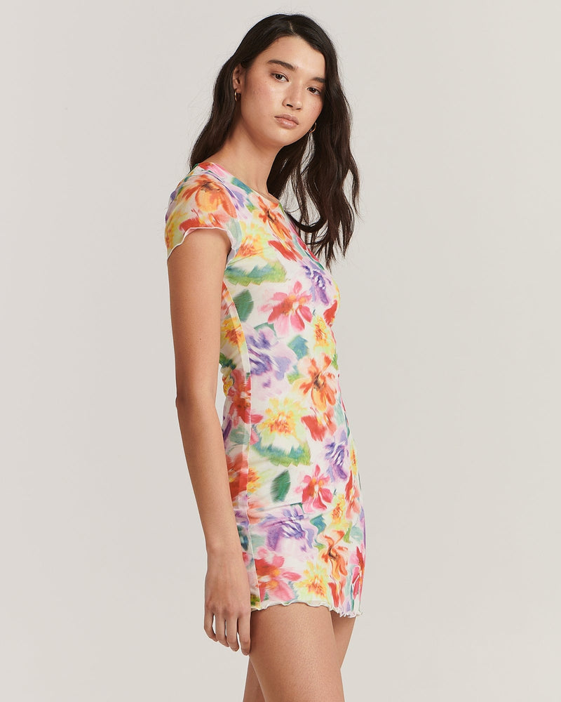 Alicia Mini Dress - Blurred Floral