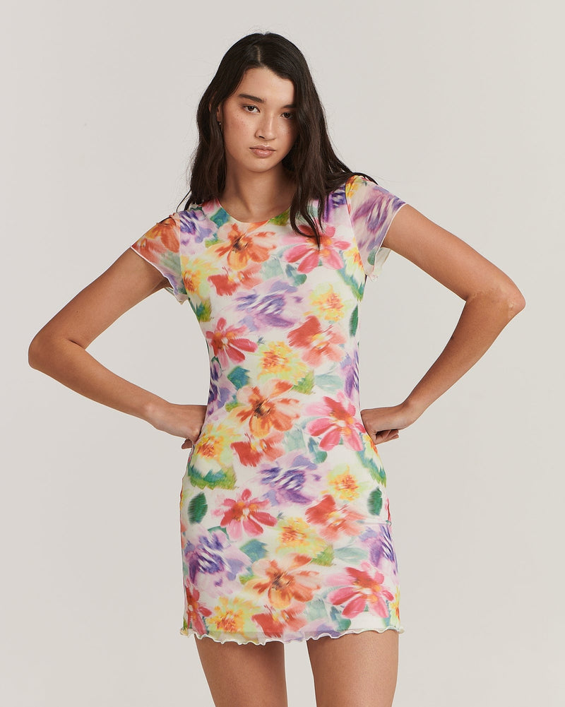 Alicia Mini Dress - Blurred Floral