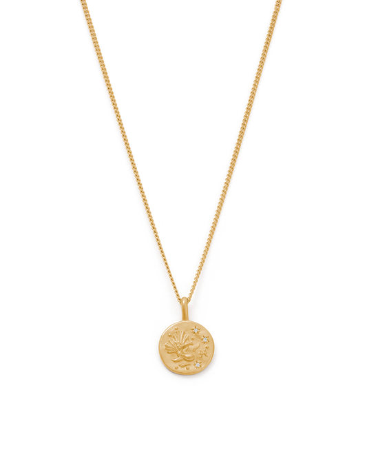 Pisces Petite Zodiac Necklace - Gold