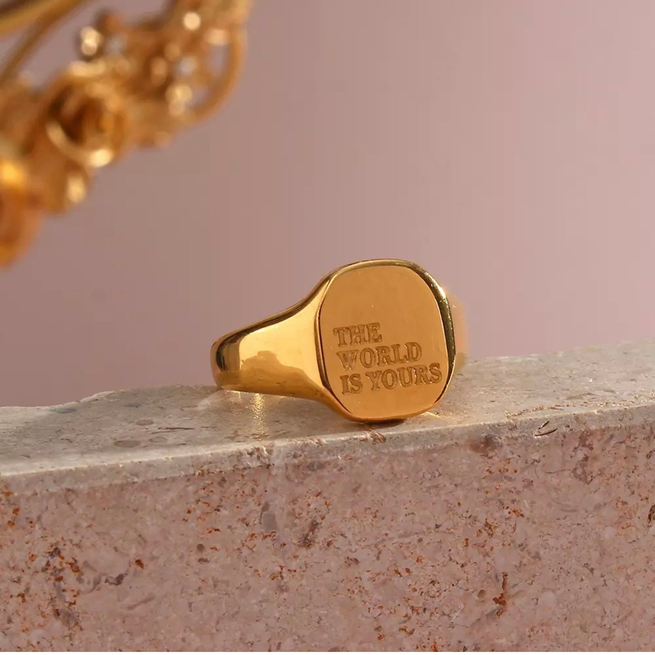 Heartfelt Signet Ring - The World is yours